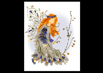 Як з допомогою гербарію зробити інтер’єр неповторним